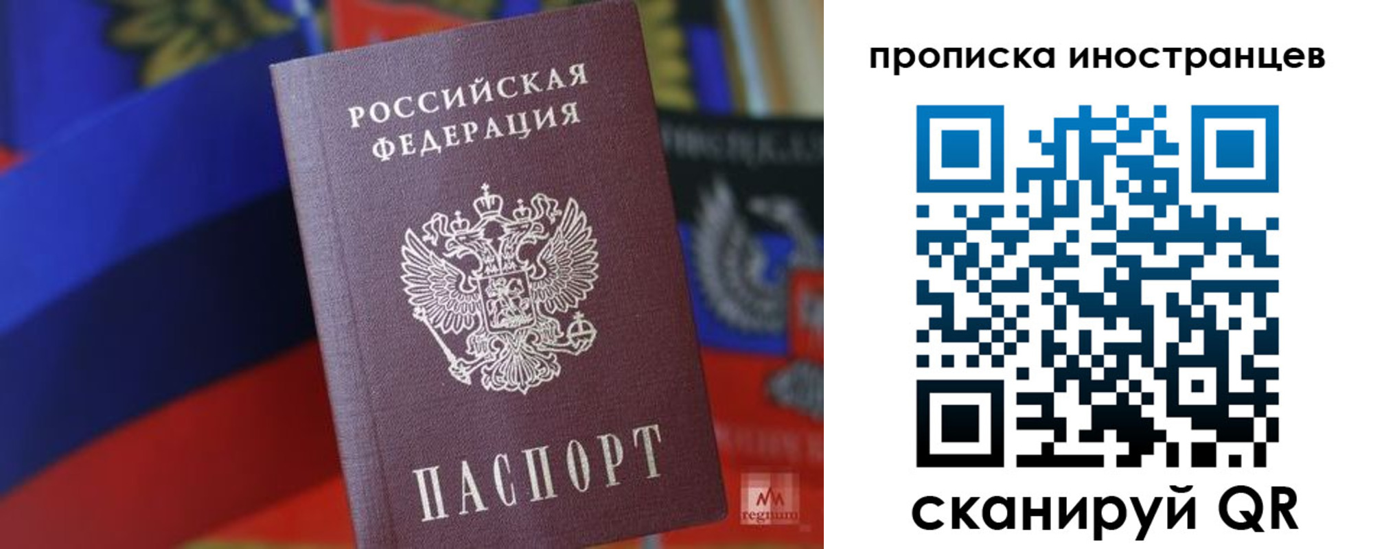 прописка законно в Волосово